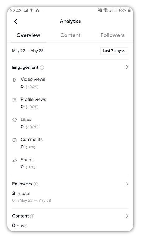 How to Check Analytics on TikTok